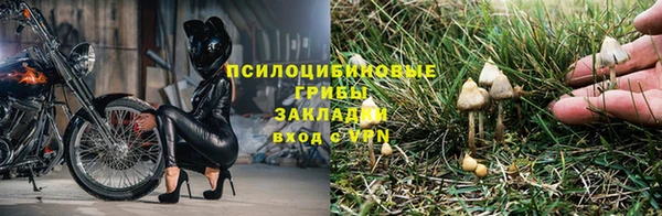 круглые Абаза