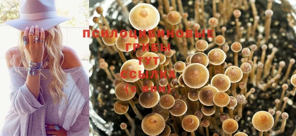 дживик Алексеевка