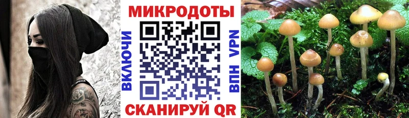 Псилоцибиновые грибы ЛСД  дарнет шоп  Нюрба 